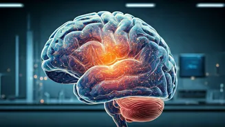 Success is Achieved by Brain Training Habits