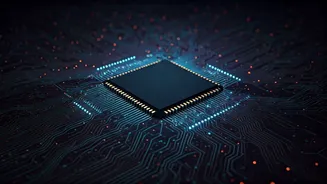 IT Stocks Poised for Gains: The 2026 Outlook