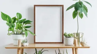 How to make stunning mosaic photo frames