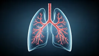 Supplements alone won't fix lung health