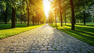 5,000 Steps a Day: Alzheimer's Prevention & Health