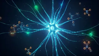 Unlocking the Keto Secret: How a Diet Fights Seizures and What Science Knows