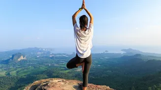 The Ancient Roots Of Yoga How Indian Wellness Heritage Evolved Into Global Movements