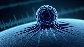 The Shocking Sleep-Cancer Link: How Rest Affects Your Health