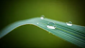 Related Stories banner