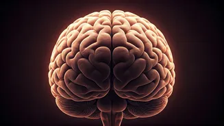 Inner Voice: Exploring Self-Talk Secrets