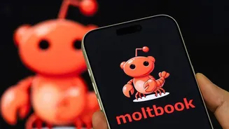 Why AI social network Moltbook has become so popular?