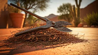 Monsoon Prep Starts With A Sharp Shear