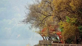 The Travel Calendar Has a Quiet Window—September May Be It