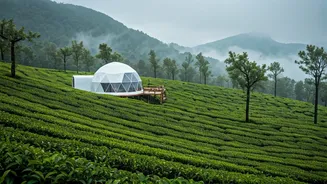 Book Misty Munnar Geodesic Glamping Domes Overlooking Rich Tea Gardens