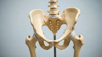 Get Healthy: Stay Active With These Exercises