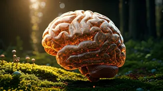 Boost Dopamine Naturally: A Wellness Guide