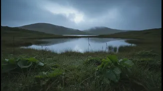 Monsoon Trips Near Delhi-NCR Without Long Travel Hours