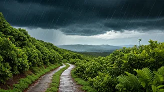 Maharashtra Getaways Need A Proper Rain Plan