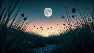 Moon Meetings Can Make Evenings More Magical