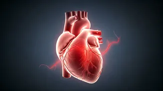 Unmasking Silent Inflammation: A Cardiologist's Guide to Subtle Warning Signs