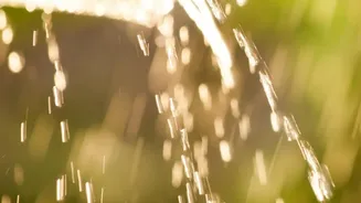 Latest Rain Forecast Encourages Cautious Independence Day Travel Planning