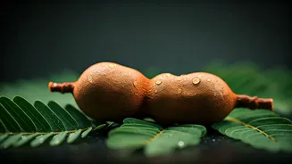 African Tamarind: Your Natural Secret to Radiant, Youthful Skin