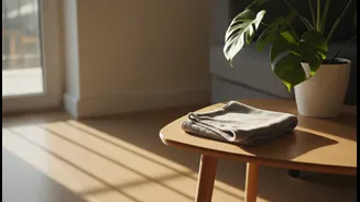 Harsh Sprays Are Not Required for Regular Household Dust Removal