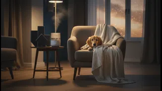 Expert ways to use soundproofing hacks to calm thunderstorm-phobic apartment pets