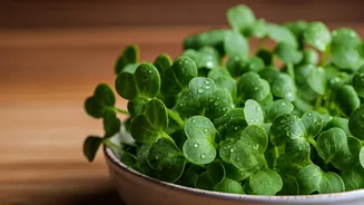 Home Grown Radish Shoots Give Every Indian Meal Instant Vitamins