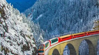 The Kalka-Shimla Railway Climbs Through Pine Forests and Historic Stations