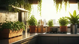 Terrace Kitchens Are Peak Urban Home Fantasy