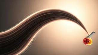 Alopecia Areata Triggers: 5 Common Habits to Rethink for Healthier Hair