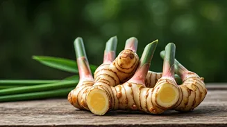 Home Cooks, Galangal Deserves A Pantry Spot