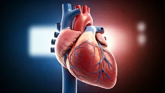 Beat Blood Pressure Naturally: Exercises and More!