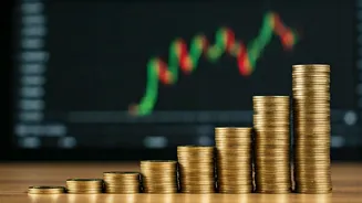 Top-Performing Funds: Navigating India's Investment Landscape