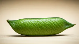 Whole Green Moong: Superior Digestive Benefits