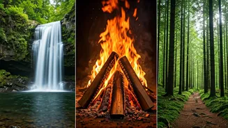 Discover Your Inner Nature: Waterfall, Fire, or Forest Personality Test