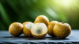 Unlocking Natural Vitality: Discover the Energizing Power of Longan Fruit