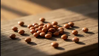 The Modern Return of Kollu Gives Horse Gram a Timely Reader-Service Angle