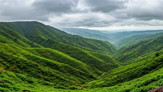 Coorg-Sakleshpur Trips Have Entered Rain Mode