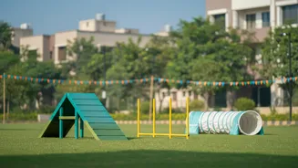 Jaipur's Mega Pet Carnival Adds New Context to Civic Pet-Service Planning