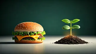 Bill Gates' Favorite Burger: A Climate Conundrum