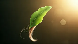 Ozempic and Hair Loss: Understanding Your Body's Reaction to Rapid Change