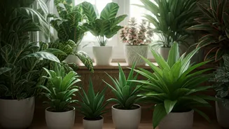 Indoor Plant Shopping Is The New Lifestyle Habit