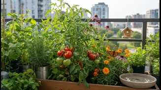 City Gardeners Should Think Beyond Pretty Pots