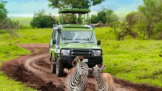 The Ladakh Wildlife Safari Remains Planned, Not Yet Open