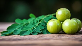Moringa & Amla: Your Skin & Hair Allies
