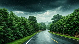 Off-Season Monsoon Travel Is The Smart Flex