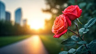 From Heartbreak to Empire: Single Mom's Inspiring Journey to Love and Success at 49