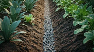 Monsoon Garden Drainage Needs Sorting Before Downpours