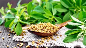 Fenugreek smoothie? Yes, and it tastes amazing