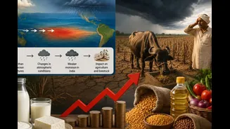 Will El Niño Make Your Morning Tea Costlier? Here's How A Weak Monsoon Can Hit Your Grocery Bill