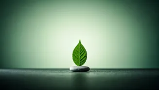 Mumbai Mom's 13kg in 10 Weeks Weight Loss: A Journey to Wellness Without Exercise