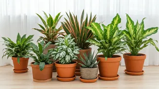 8 Plants to Elevate Your Home's Ambiance